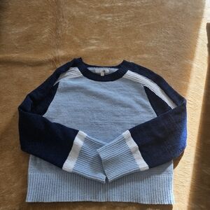 Anthropologie Knit Colorblock Medium